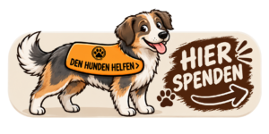 den hunden helfen button (2)