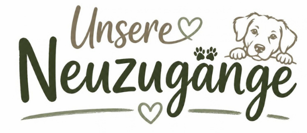 design ohne titel