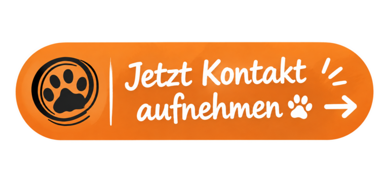 kontakt button
