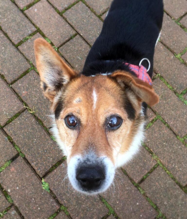 max – erinnerungsbild 1
