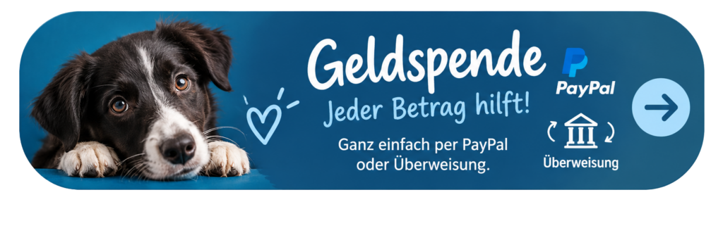 geldspende button